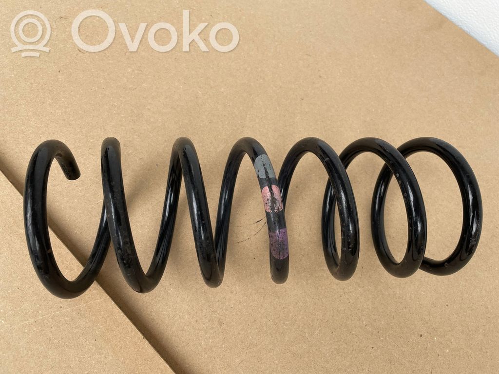 Rear coil spring