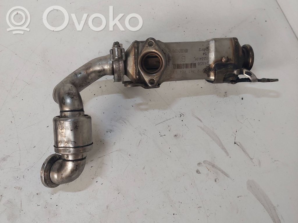 BMW 5 E39 EGR aušintuvas 