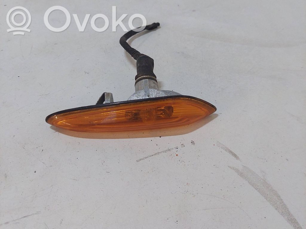 Front fender indicator light   4166R