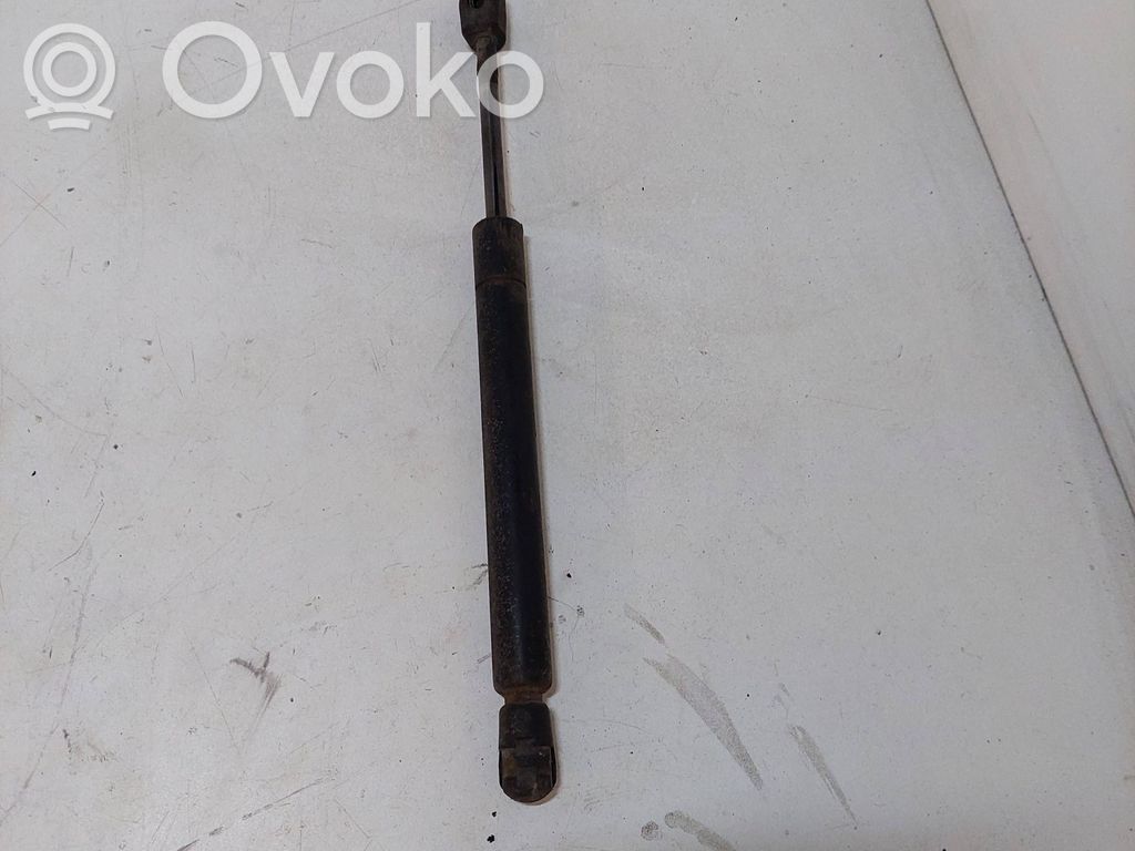 Tailgate/trunk strut/damper   51241960862
