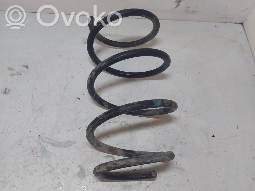 Front coil spring