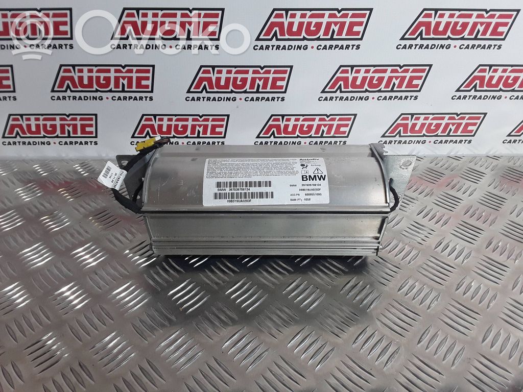 Airbag del pasajero   397039708134,600955100A