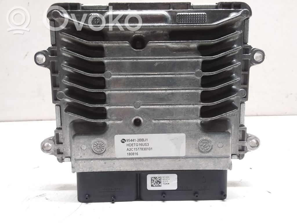 Engine control unit/module   954412BBJ1,A2C1577830101