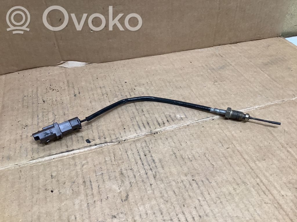 Peugeot 307 Exhaust gas temperature sensor 