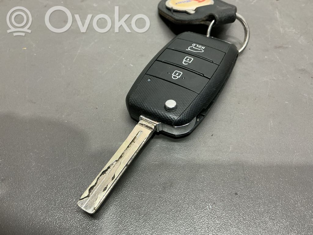 Ignition key/card   DD3TX1302JD,30718V100569