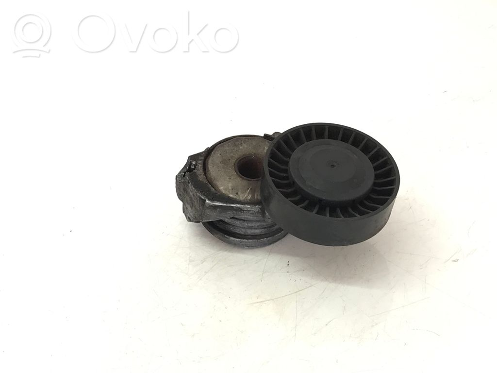Napinacz paska alternatora   31258145,55047616,31258145,55047616
