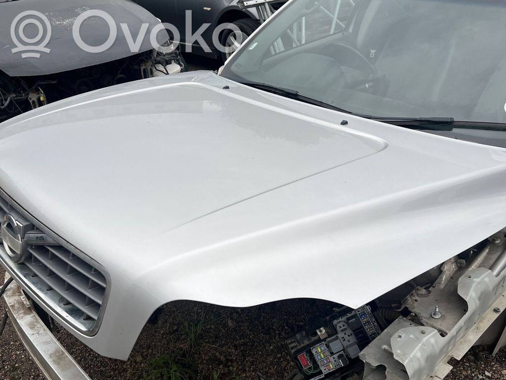 Engine bonnet/hood