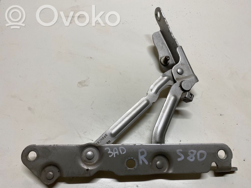 Tailgate/trunk/boot hinge   096RSA6E