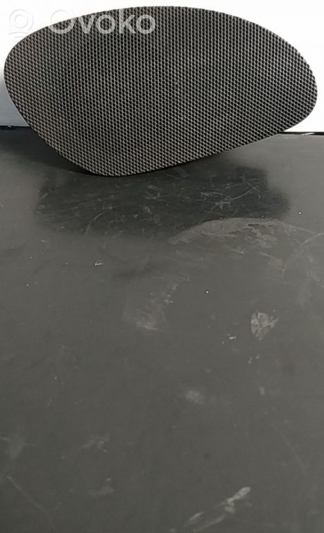 Panel speaker   9660528377,215934,292