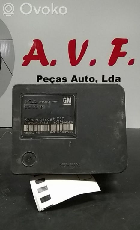 ABS Pump   10096005483,10020602064