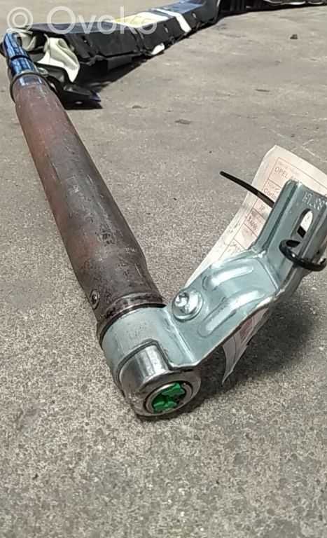 Airbag del techo   24451351,366398980,LH