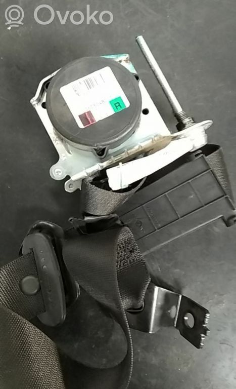 Cinturón delantero   F13242314,560834801D