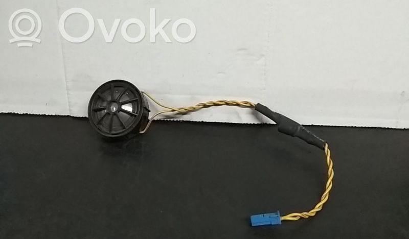 Panel speaker   65136934026