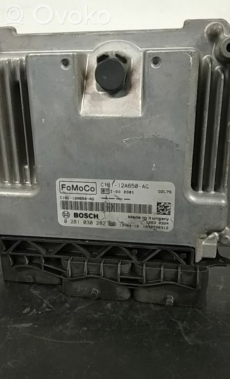 Unidad de control/módulo del motor   C1B112A650AG,0281030282