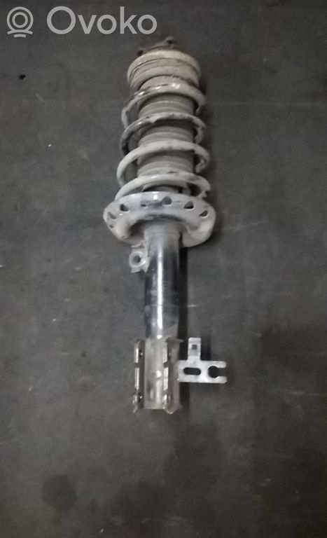 Stoßdämpfer vorne   339702