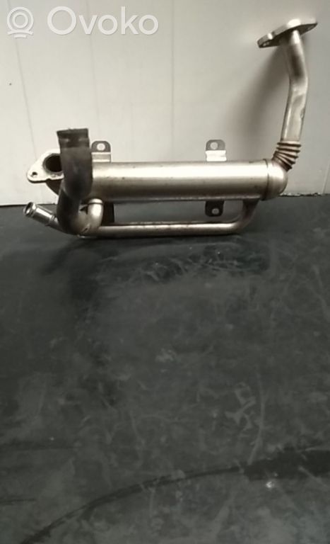 Seat Ibiza III (6L) Valvola di raffreddamento EGR 