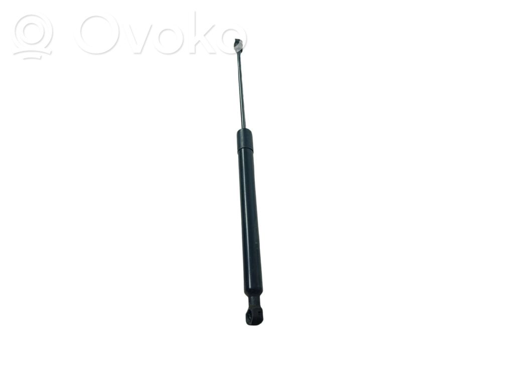 Renault Zoe Tailgate/trunk strut/damper 
