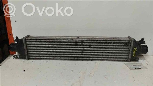 Intercooler radiator   50532811