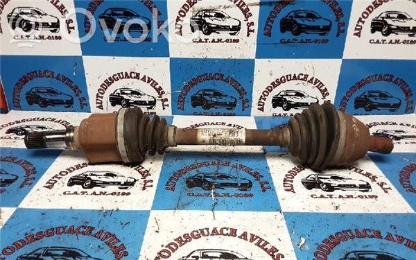 Assale anteriore   1600575