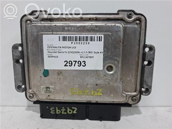 Hyundai Santa Fe Engine control unit/module ECU 