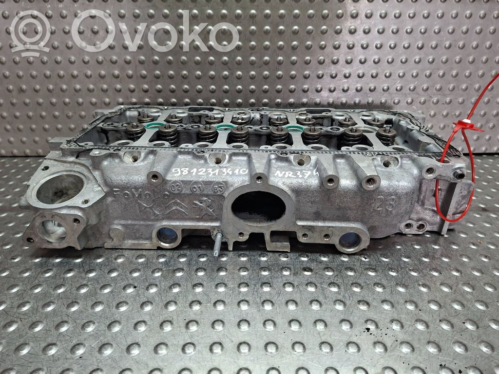 Galvutė   S27624375,9812313410
