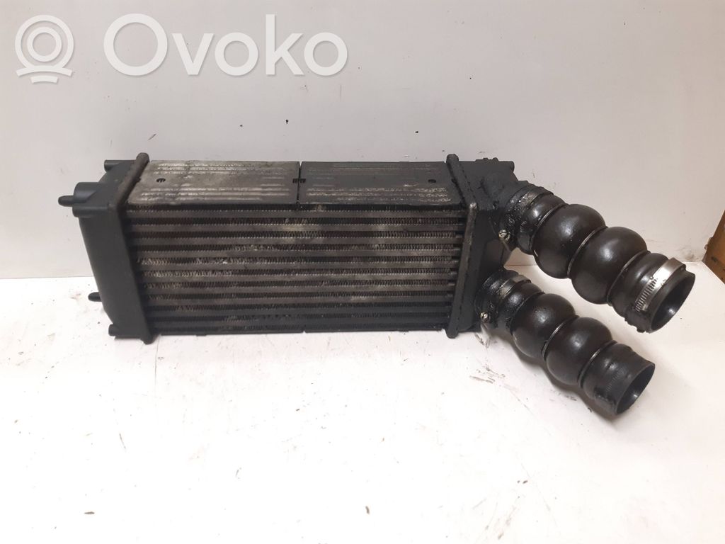 Peugeot 307 Intercooler radiator 