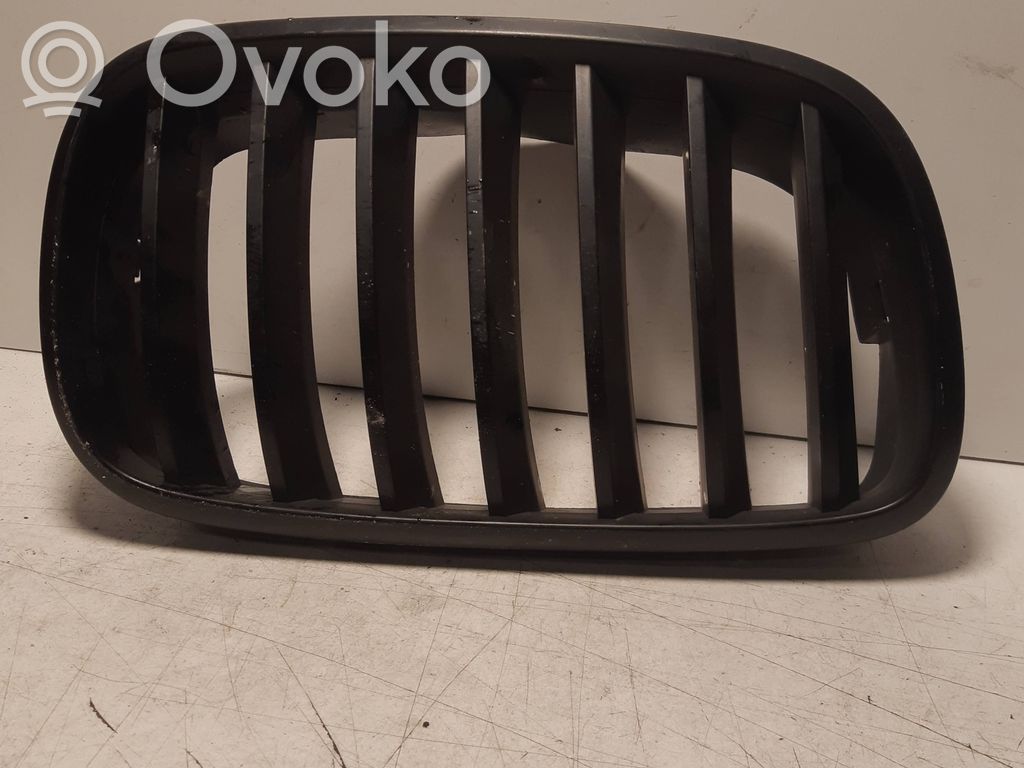 BMW X5 E53 Front grill 