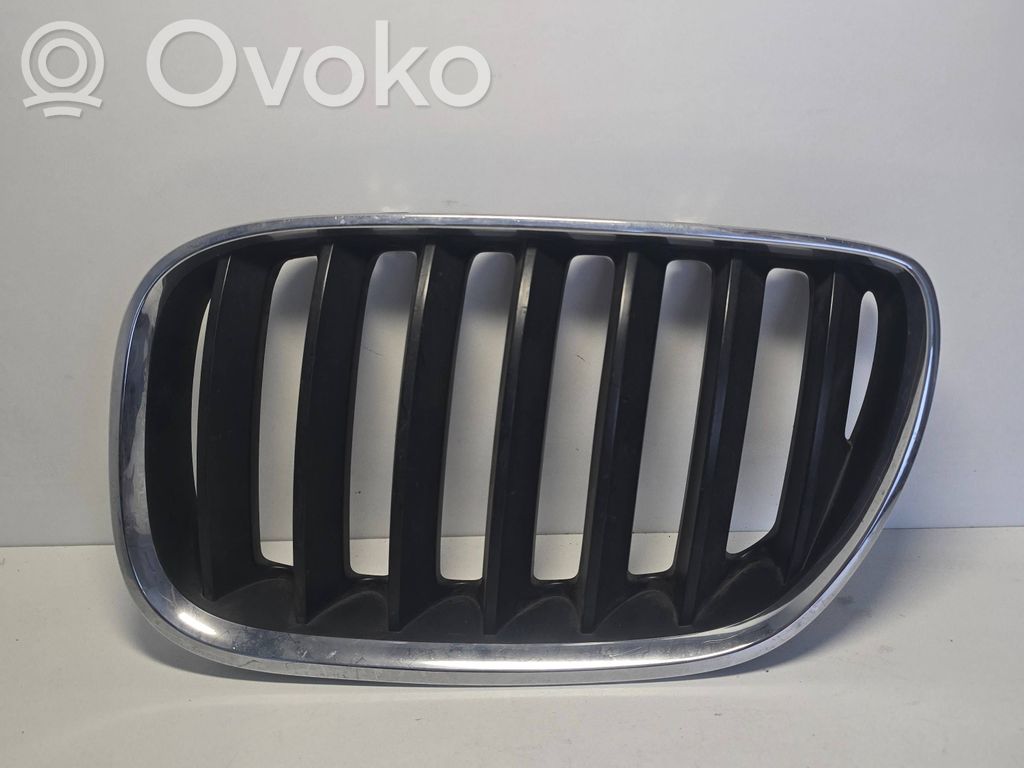 BMW X5 E53 Front grill 