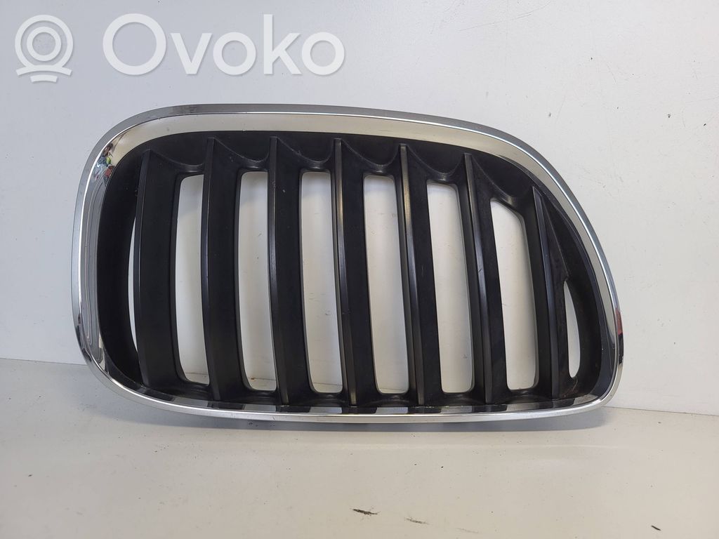 BMW X5 E53 Front bumper upper radiator grill 