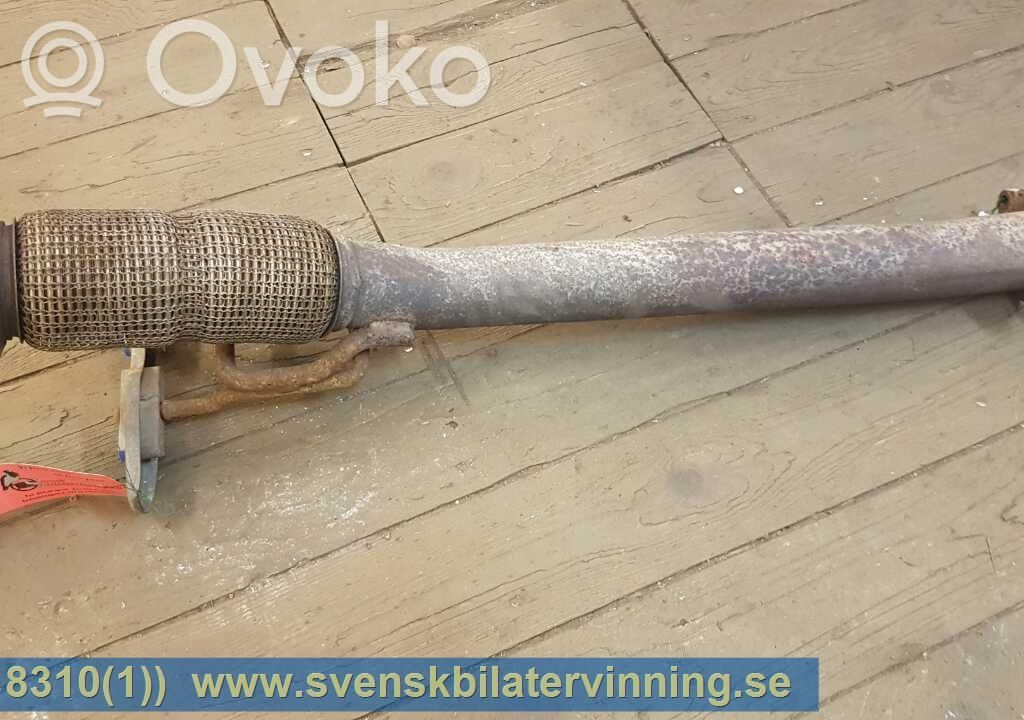Izpūtējs   31293466