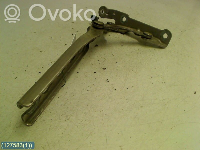 Skoda Octavia Mk2 (1Z) Cerniere del vano motore/cofano