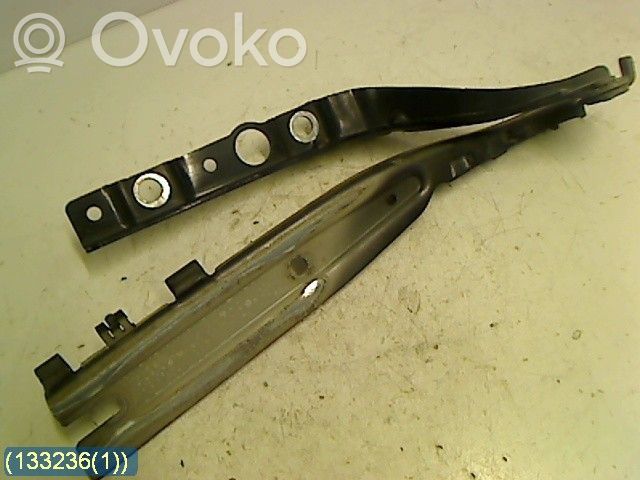 Peugeot 407 Engine bonnet/hood hinges 