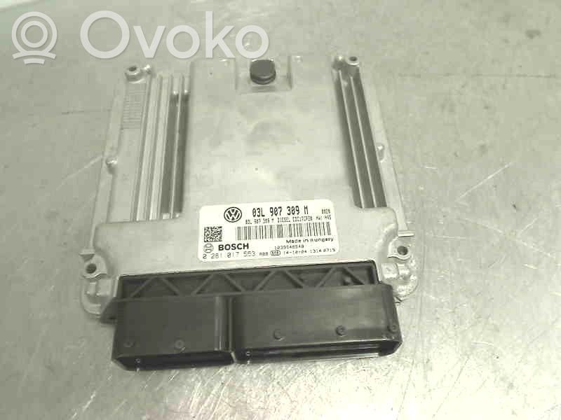 Volkswagen Transporter - Caravelle T5 Injection control unit/module 