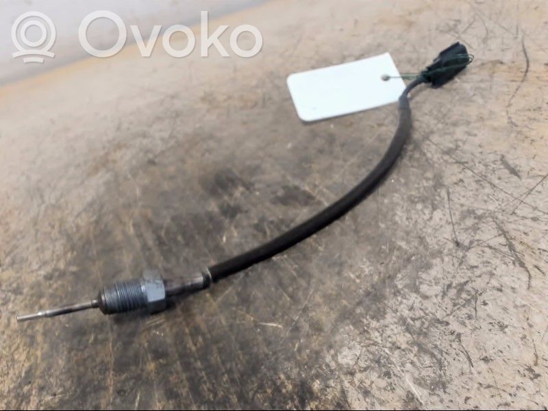 Abgastemperatursensor   147308126R