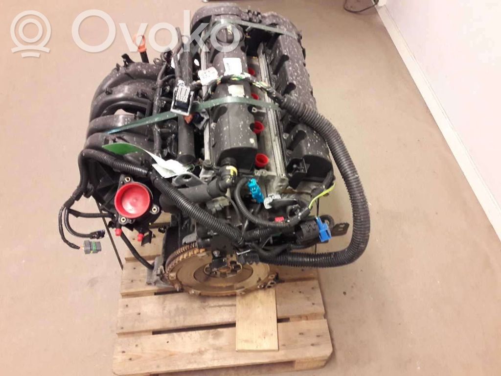 Variklis   0135QQ