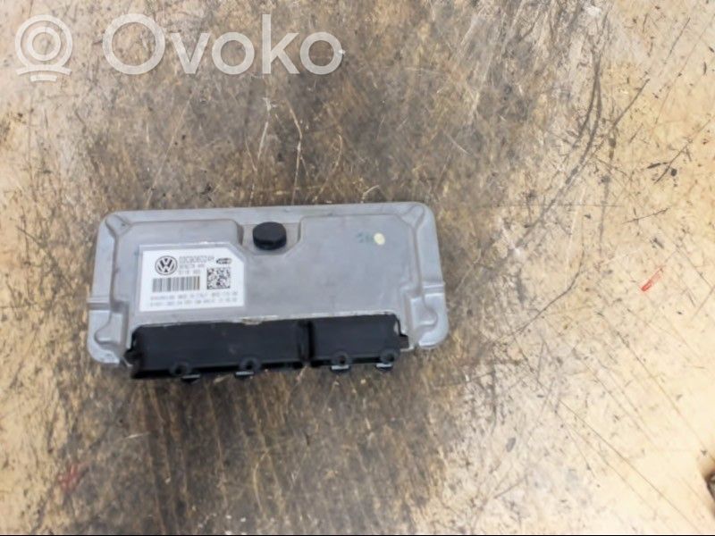 Seat Ibiza III (6L) Injection control unit/module 
