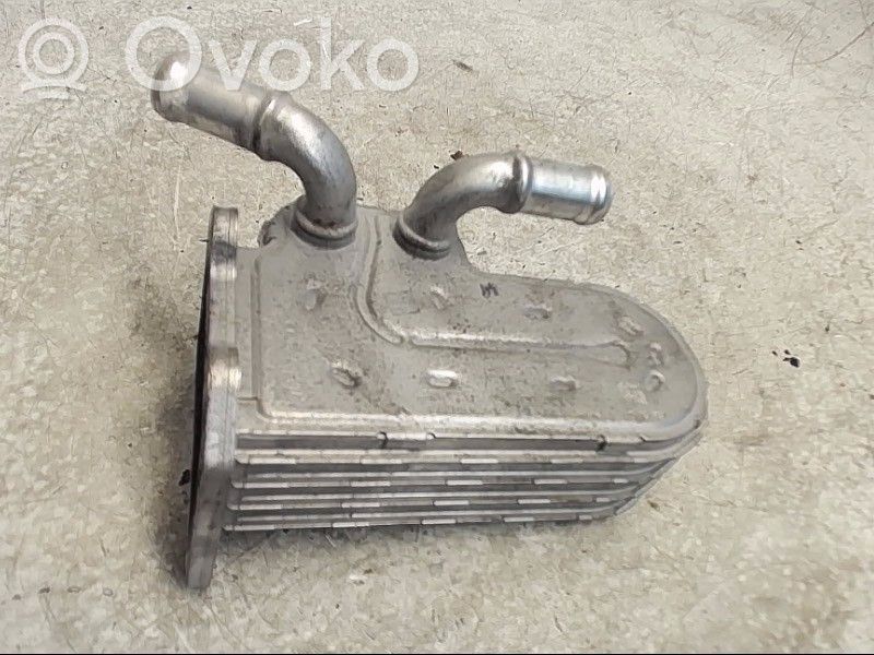 Chrysler Voyager Valvola di raffreddamento EGR 