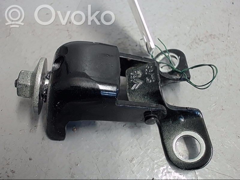 Citroen C4 II Tailgate/trunk/boot hinge 