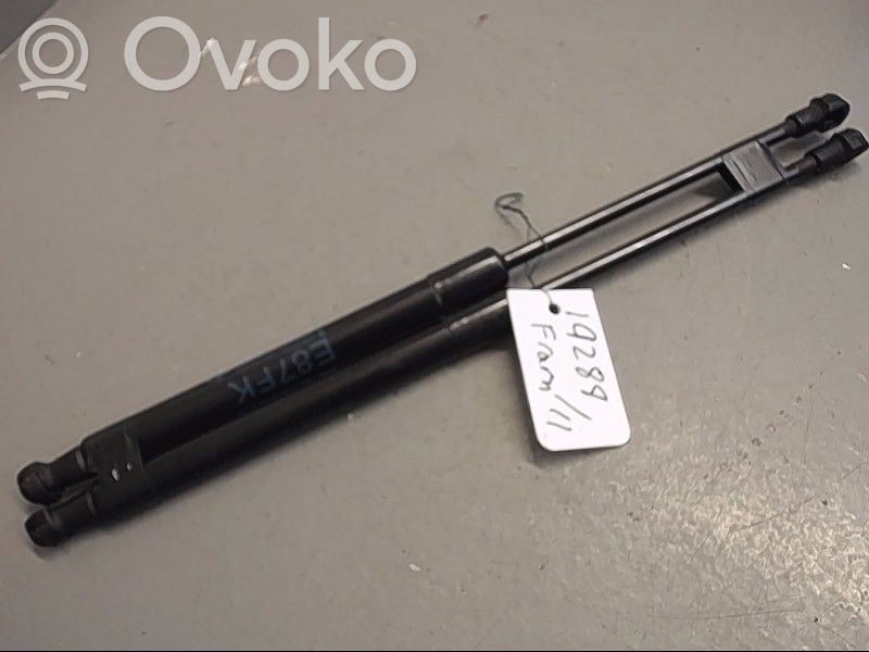 BMW 1 E81 E87 Ammortizzatore portellone anteriore/cofano
