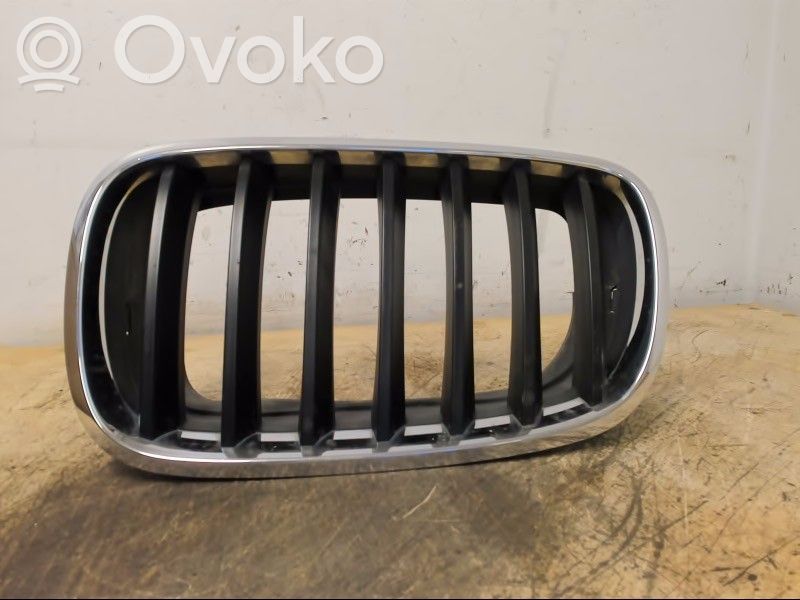 BMW X5 E70 Front bumper lower grill 