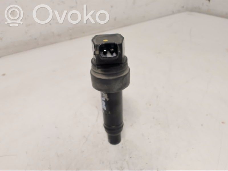 High voltage ignition coil   273012B110,273012B110