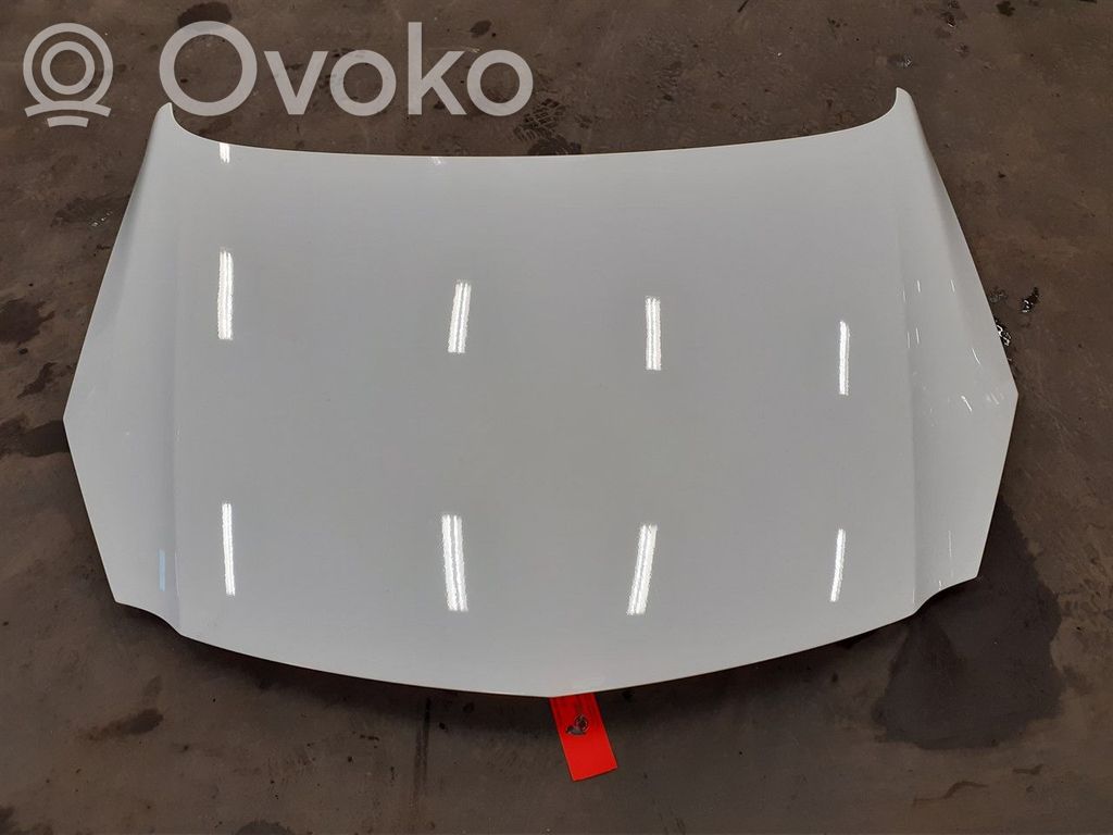 Opel Insignia A Vano motore/cofano 