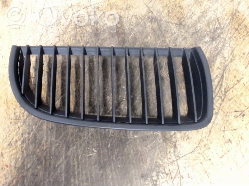Front bumper lower grill