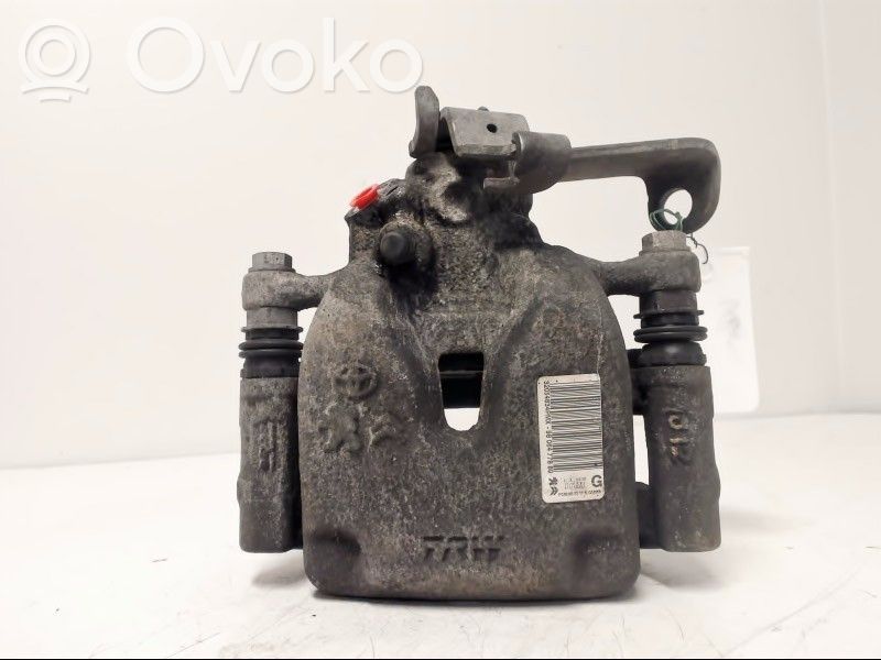 Takajarrusatula   9806477880
