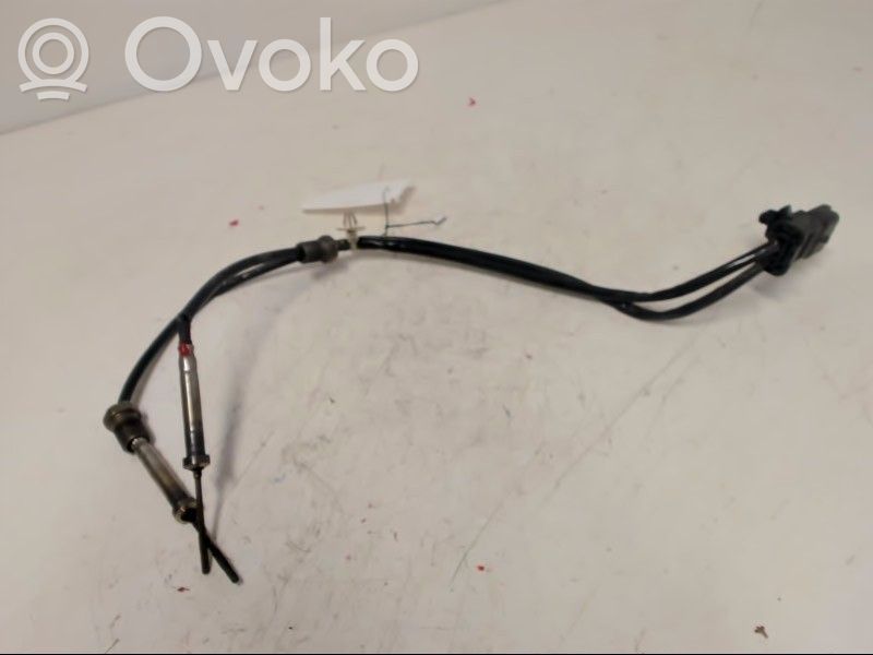 Abgastemperatursensor   9807562780