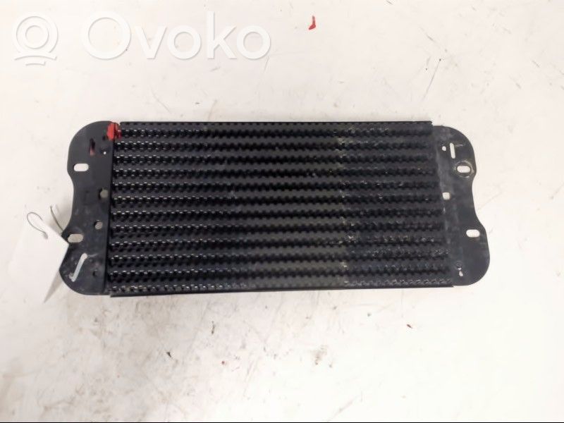 Răcitor combustibil (radiator)   175103180R,175103180R
