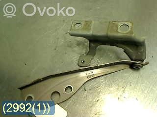 Volvo S40 Balamale capotă 
