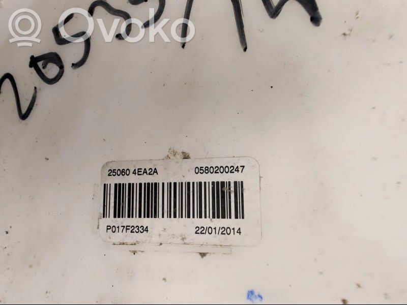 Nissan Qashqai Vas expansiune/rezervor lichid de răcire 