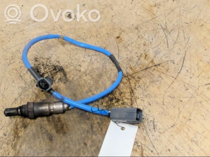 Зонд «Lambda»   PE01188G1,PE01188G1