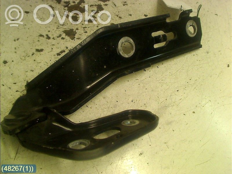 Audi A6 S6 C6 4F Cerniere del vano motore/cofano 